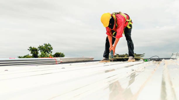 Trusted Fort Morgan, CO Roofing Service Experts