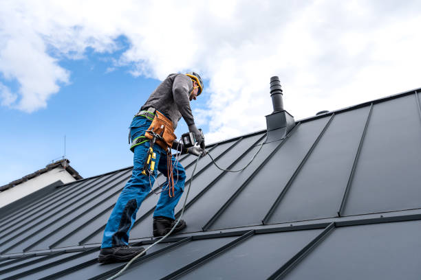 Best Skylight Installation and Repair  in Fort Morgan, CO